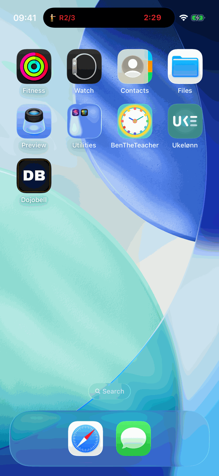 Dynamic Island compact pill showing the running timer at the top of the home screen
